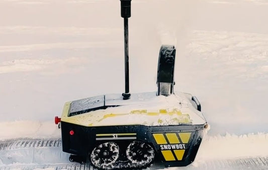 Snowbot